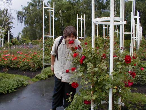 image013.jpg (46902 bytes)